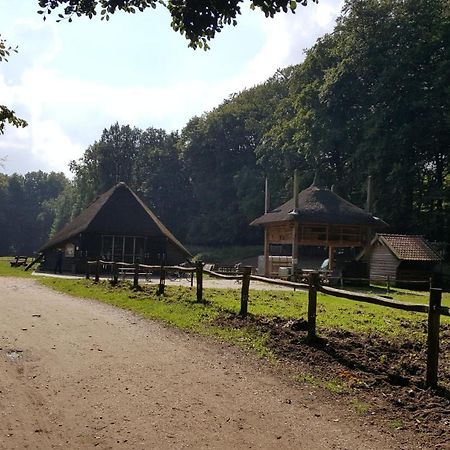 Reewold Veluwe Villa Putten Dış mekan fotoğraf