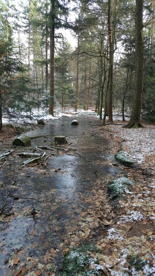 Reewold Veluwe Villa Putten Dış mekan fotoğraf