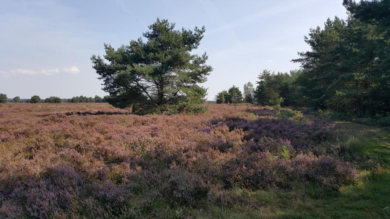 Reewold Veluwe Villa Putten Dış mekan fotoğraf