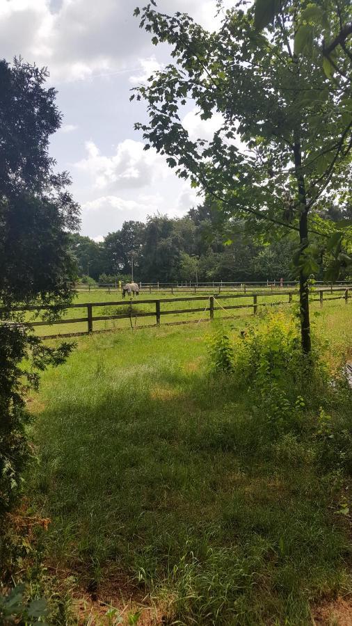 Reewold Veluwe Villa Putten Dış mekan fotoğraf