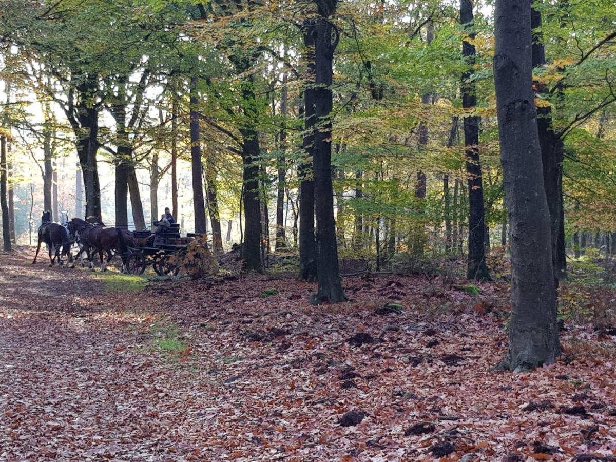 Reewold Veluwe Villa Putten Dış mekan fotoğraf
