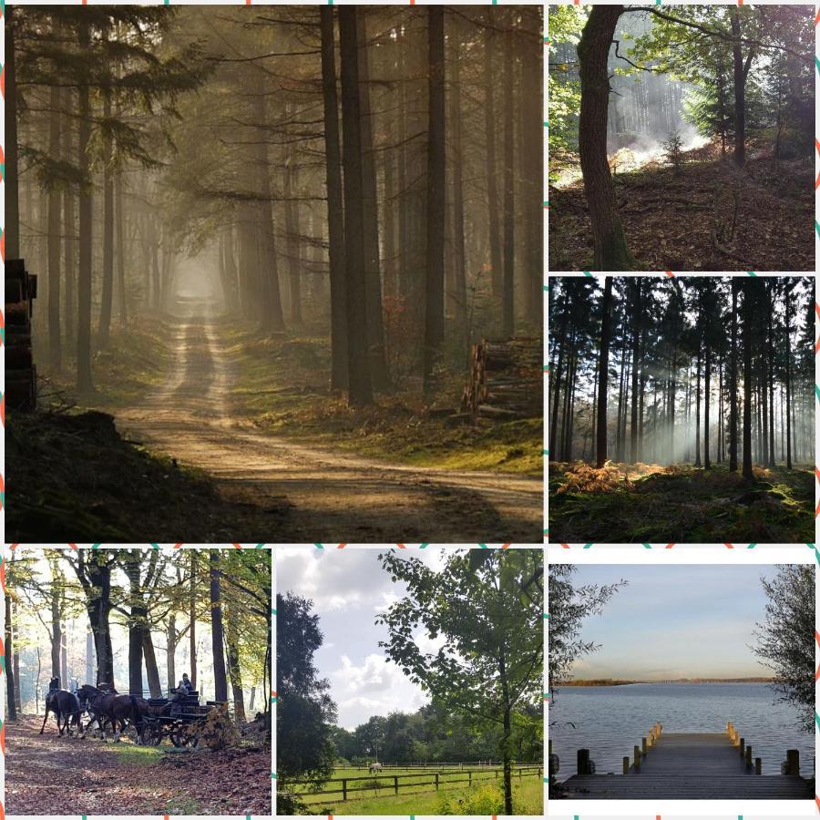 Reewold Veluwe Villa Putten Dış mekan fotoğraf