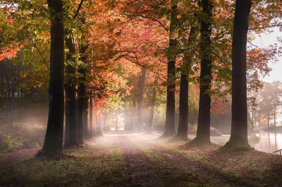 Reewold Veluwe Villa Putten Dış mekan fotoğraf
