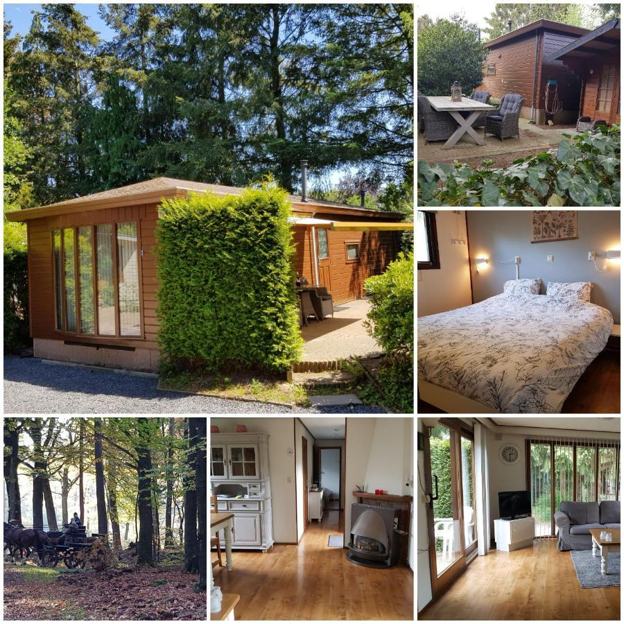 Reewold Veluwe Villa Putten Dış mekan fotoğraf